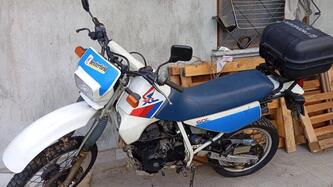 Honda XL 600 R (1983 - 86) usata