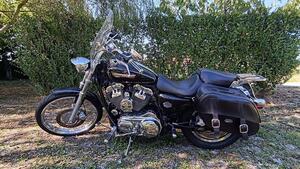 Harley-Davidson 1200 Custom (2007 - 13) - XL 1200C 