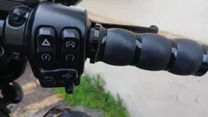 Harley-Davidson 114 Street Glide Special (2019 - 20) - FLHXS  (12)