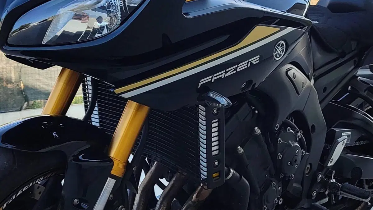 Yamaha Fazer 8 (2010 - 16)  (3)