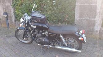 Triumph Bonneville 800 (2002 - 07) usata