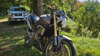 Honda Hornet 600 (2005 - 06)