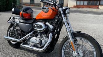 Harley-Davidson 883 (2006 - 07) - XL