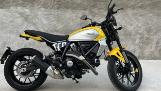 Ducati Scrambler 800 Icon (2023 - 24) usata