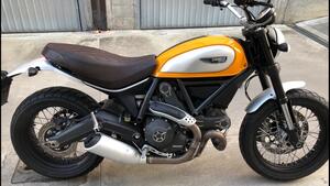 Ducati Scrambler 800 Classic (2015 - 16) 