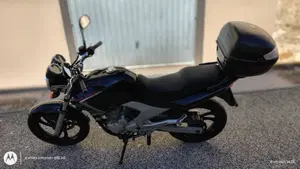 Yamaha YBR 250 (2006 - 13)  (4)