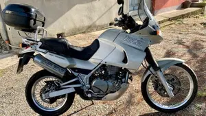 Kawasaki KLE 500 (1991 - 00)  (11)
