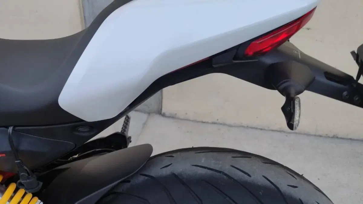 Ducati Monster 797 Plus (2019)  (5)
