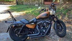 Harley-Davidson 883 Custom (2008 - 12) - XL 883C