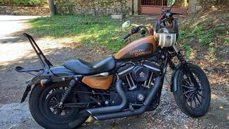 Harley-Davidson 883 Custom (2008 - 12) - XL 883C