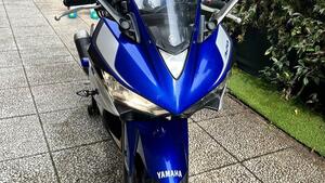 Yamaha YZF R3 (2015 - 17)