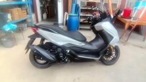 Honda Forza 350 Deluxe (2022 - 24)