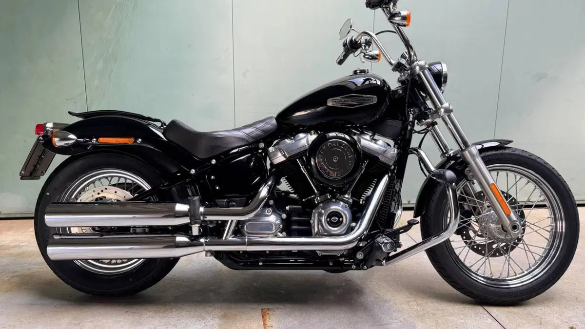 Harley-Davidson Softail Standard (2021 - 25) 