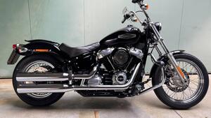 Harley-Davidson Softail Standard (2021 - 25) 