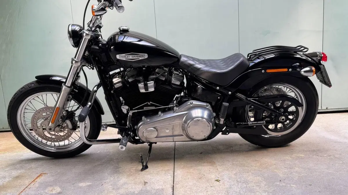 Harley-Davidson Softail Standard (2021 - 25)  (3)