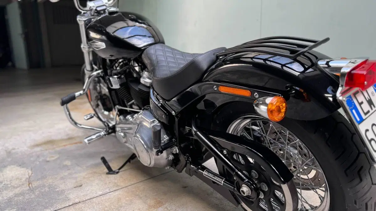 Harley-Davidson Softail Standard (2021 - 25)  (5)