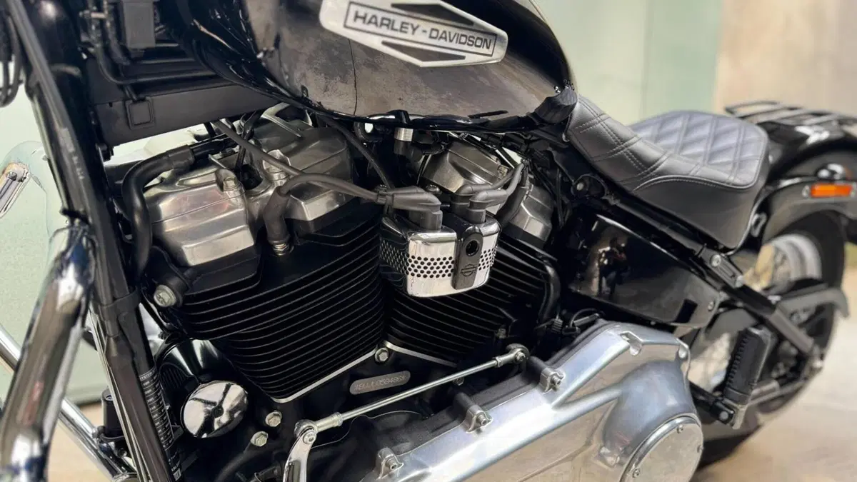 Harley-Davidson Softail Standard (2021 - 25)  (6)