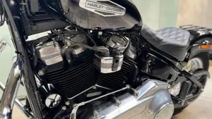 Harley-Davidson Softail Standard (2021 - 25)  (6)