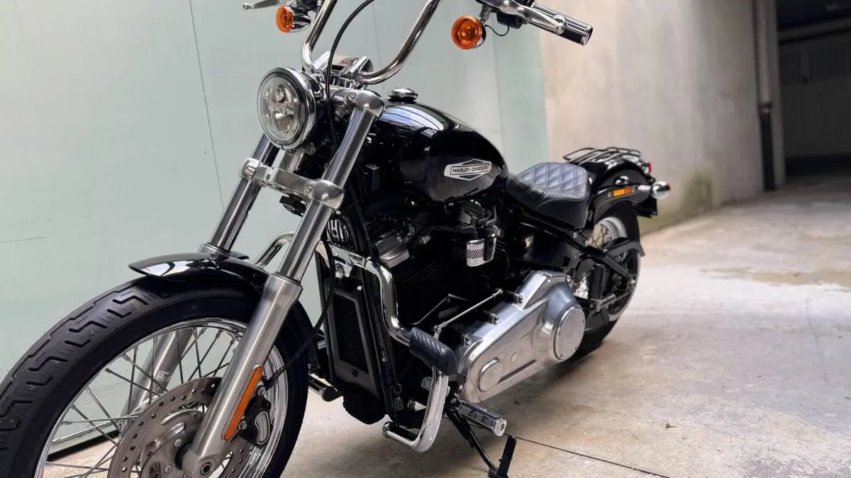 Harley-Davidson Softail Standard (2021 - 25)  (7)