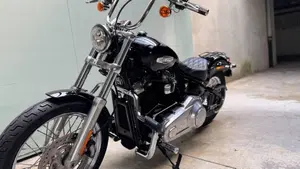 Harley-Davidson Softail Standard (2021 - 25)  (7)