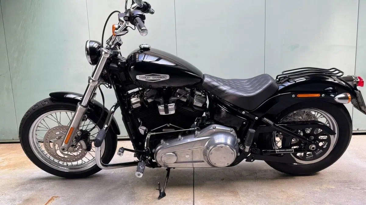 Harley-Davidson Softail Standard (2021 - 25)  (4)