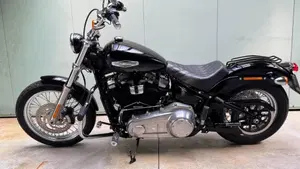 Harley-Davidson Softail Standard (2021 - 25)  (4)