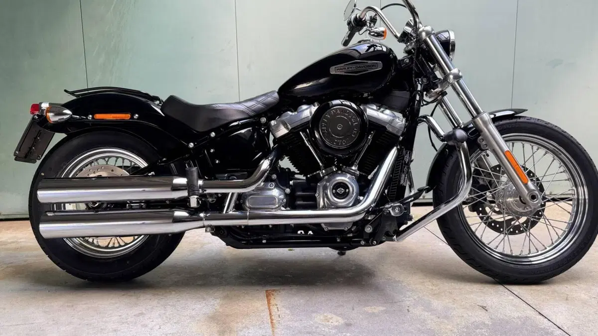 Harley-Davidson Softail Standard (2021 - 25)  (2)