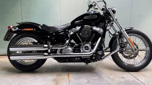 Harley-Davidson Softail Standard (2021 - 25)  (2)