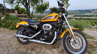 Harley-Davidson 1200 Roadster (2006 - 08) - XL 1200R usata