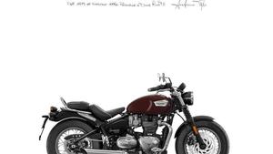 Triumph Bonneville Speedmaster 1200 (2021 - 25) 