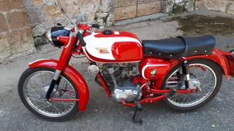 Morini