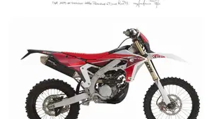 Fantic Motor XEF 250 (2025) 