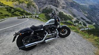 Harley-Davidson 1200 Forty-Eight (2016 - 20)