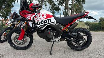 Ducati DesertX Rally (2024 - 25) usata