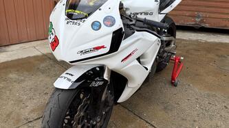 Honda CBR 1000 RR Fireblade (2006 - 07) usata