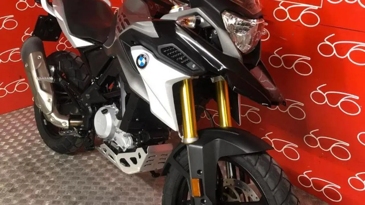Bmw G 310 GS (2017 - 20)  (2)