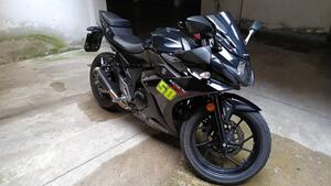 Suzuki GSX R 250 (2017 - 20)
