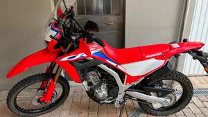 Honda CRF 300 L (2021 - 24) 