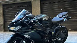 Kawasaki Ninja 636 ZX-6R (2019 - 20)  (3)