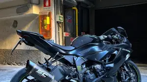 Kawasaki Ninja 636 ZX-6R (2019 - 20)  (4)