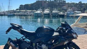 Kawasaki Ninja 636 ZX-6R (2019 - 20)  (6)