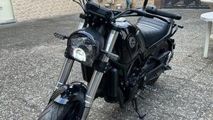 Benelli Leoncino 500 (2021 - 25)