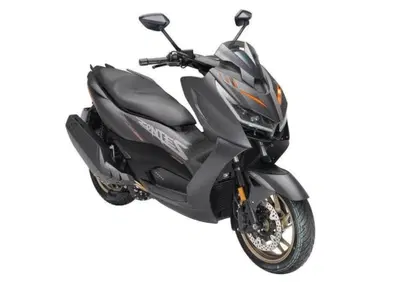 Zontes ZT368-D (2025 - 26) - Annuncio 9859652