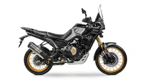 Voge Valico 800DSX Rally (2025 - 26) 