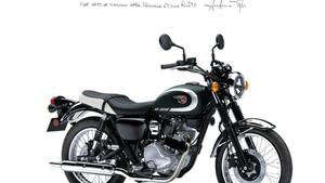 Kawasaki W 230 (2025 - 26)