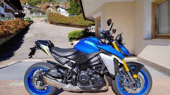 Suzuki GSX-S1000 (2021 - 25)