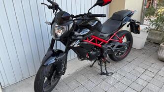 Benelli BN 125 (2021 - 25) usata