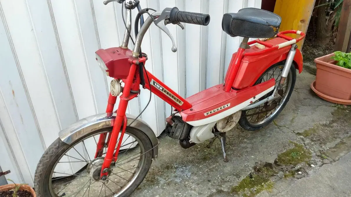 Peugeot   (8)