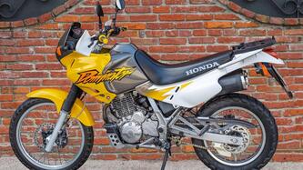 Honda NX 650 Dominator (1996 - 02) usata