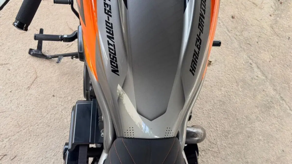 Harley-Davidson 1250 V-Rod Muscle (2009 - 17) - VRSCF  (6)